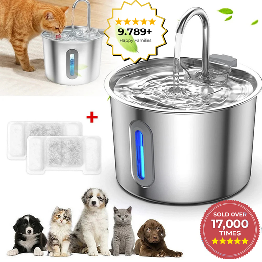 Pet Water Fountain